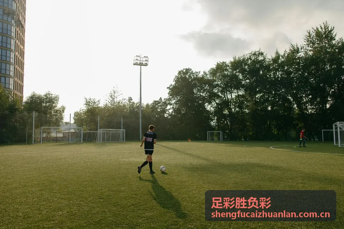 足彩胜负彩上期开奖结果